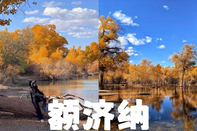看!呼和浩特旅行社前十名实测推荐！新葡京