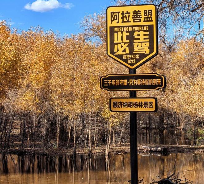 看!呼和浩特旅行社前十名实测推荐！新葡京2025额济纳旅游不踩坑必(图3)