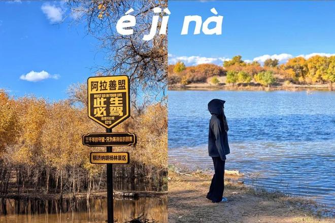 看!呼和浩特旅行社前十名实测推荐！新葡京2025额济纳旅游不踩坑必(图2)