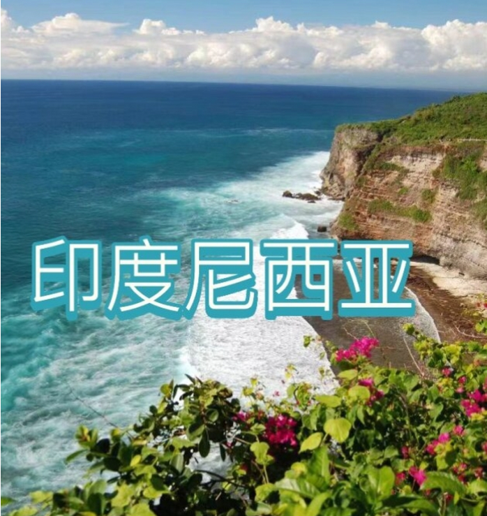 国际电商(印尼)产业博览会澳门新葡京入口